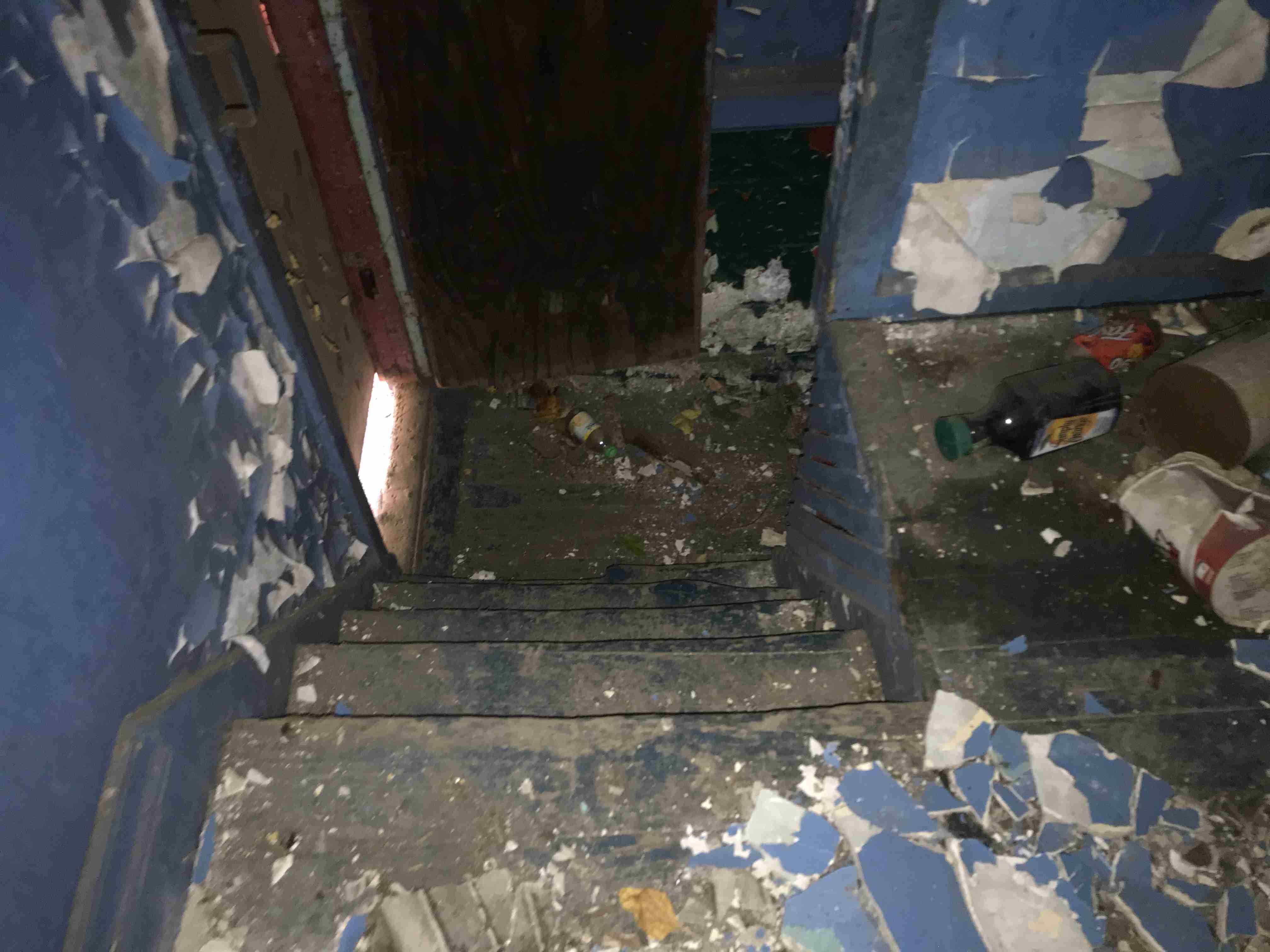 Photo Nov 03, 11 28 22 AM.jpg